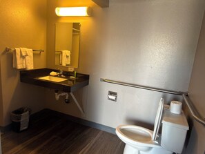 A bathroom with a sink, mirror, toilet, and a handrail.
