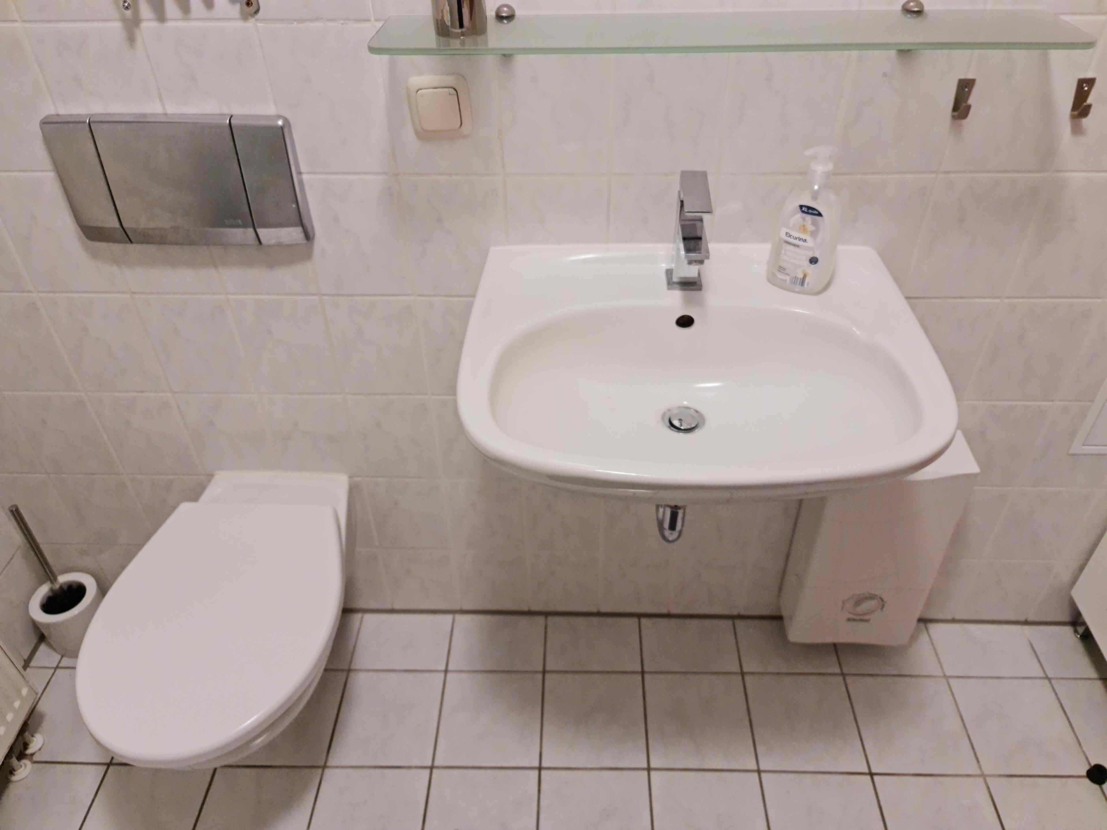 Een badkamer met een toilet, een wastafel en een glazen plank erboven.
