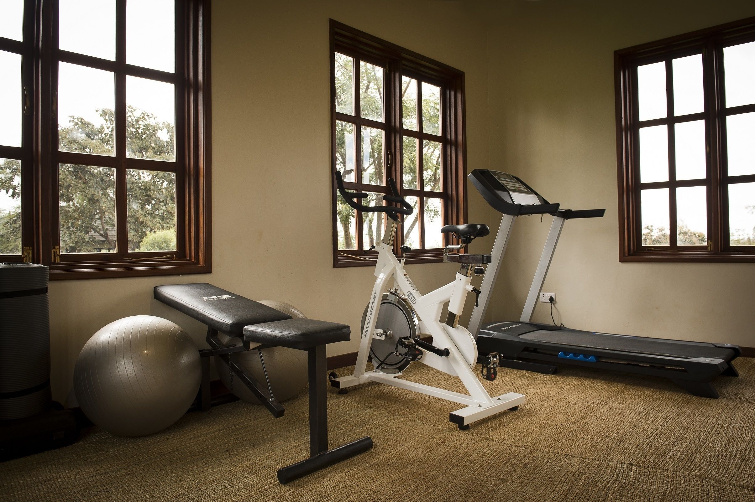A home gym with a stationary bike, treadmill, exercise ball, and bench.