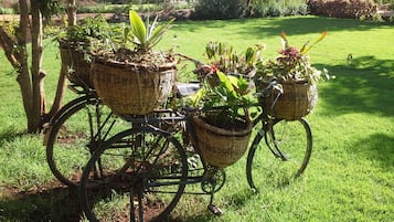 Una bicicleta con cestas que contienen plantas, estacionada en un área cubierta de césped.