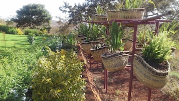 Un jardín con diversas plantas en cestas tejidas sobre un soporte metálico.