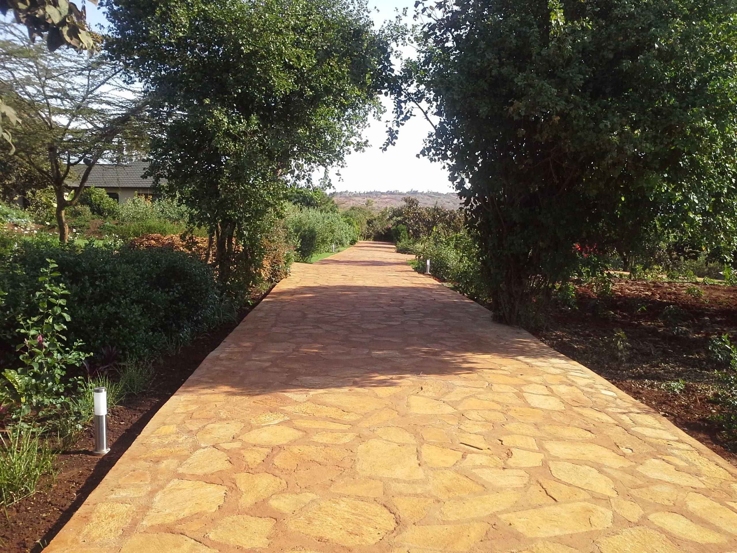 A paved pathway flanked by greenery, leading towards a distant building.