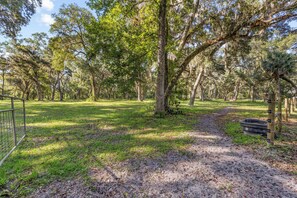 A forested area with a dirt path leading through it. - Private1-bedroom cottage on “Swamp Magic Farm” close to Gainesville (Micanopy)