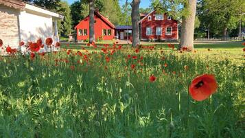 Shared Dormitory, 1 Bedroom, Patio | Exterior
