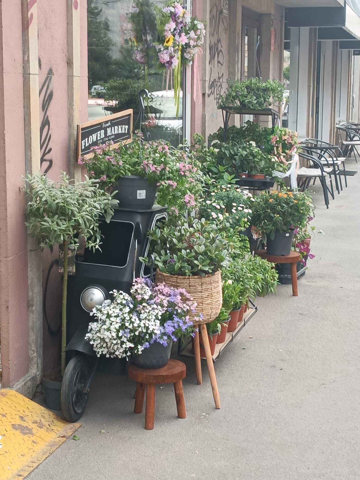 A flower market stall with various potted plants and flowers.