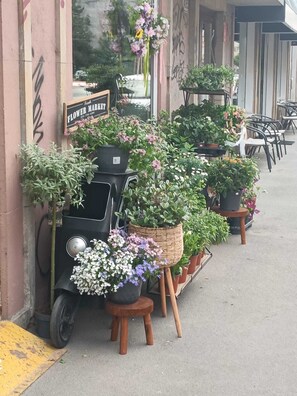 Ein Blumenstand mit verschiedenen Topfpflanzen und Blumen.