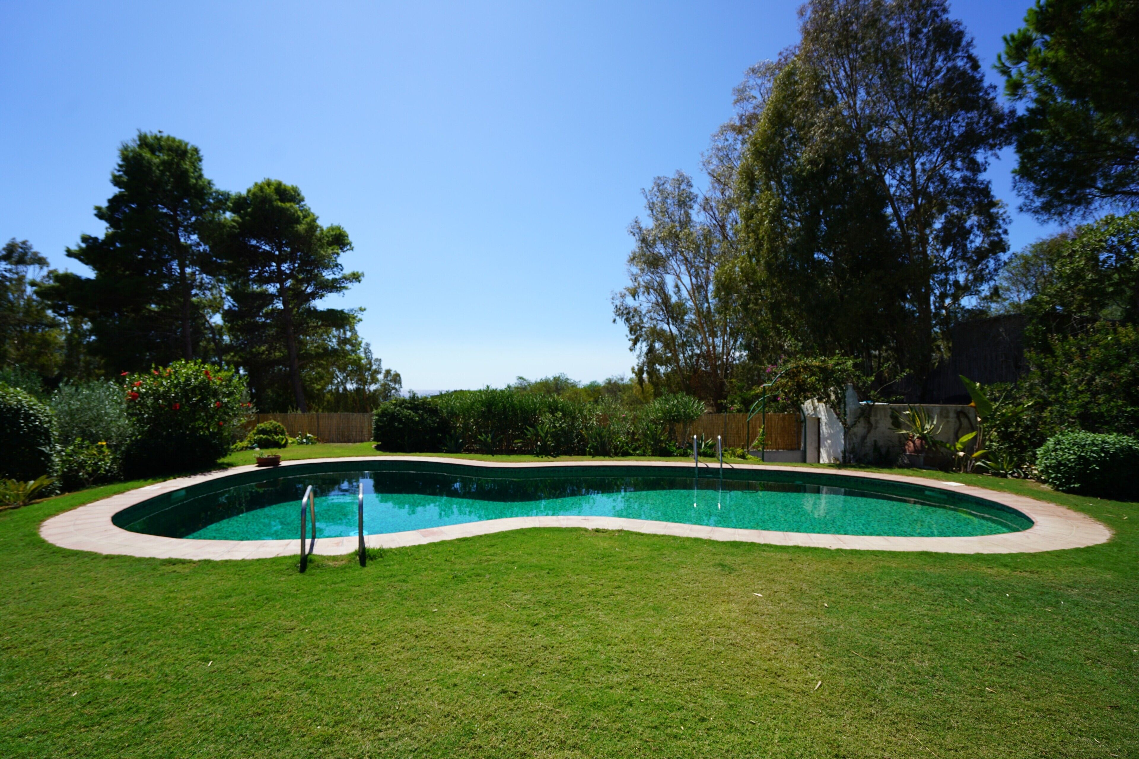 A swimming pool with a curved edge, surrounded by a well-maintained lawn and various trees.