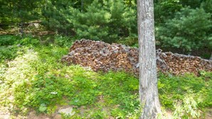 A tree with a stack of firewood beside it, surrounded by greenery and a stone wall. - At the Mountain Mist Retreat, we believe that a true getaway starts with a restful night and a seamless morning. Our 5-bedroom, 4-bathroom layout is thoughtfully designed to provide the perfect gathering. (Wintergreen)