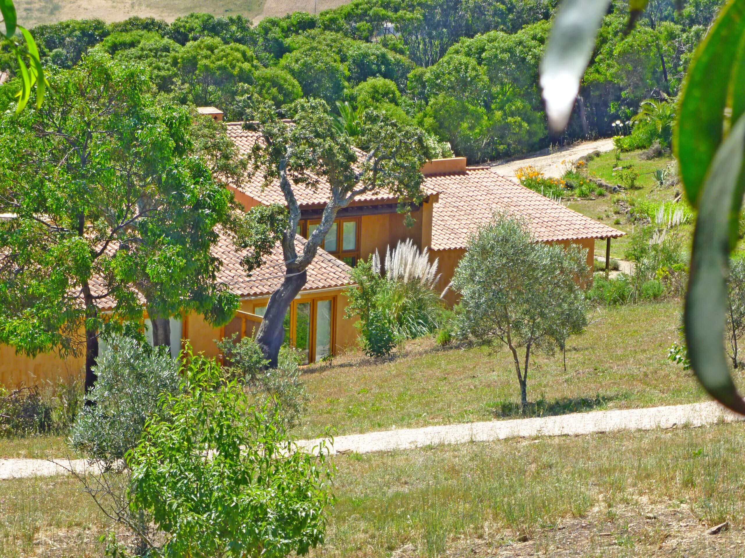 Una casa de campo con techo de tejas, rodeada de vegetación y árboles.