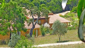 Uma casa de campo com telhado de telhas, rodeada por vegetação e árvores.