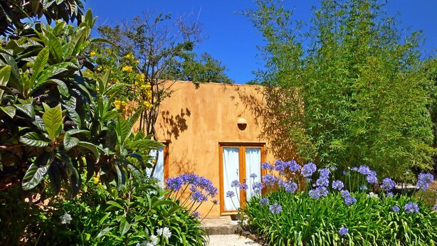 Um edifício rústico com uma porta, rodeado por vegetação exuberante e plantas floridas.
