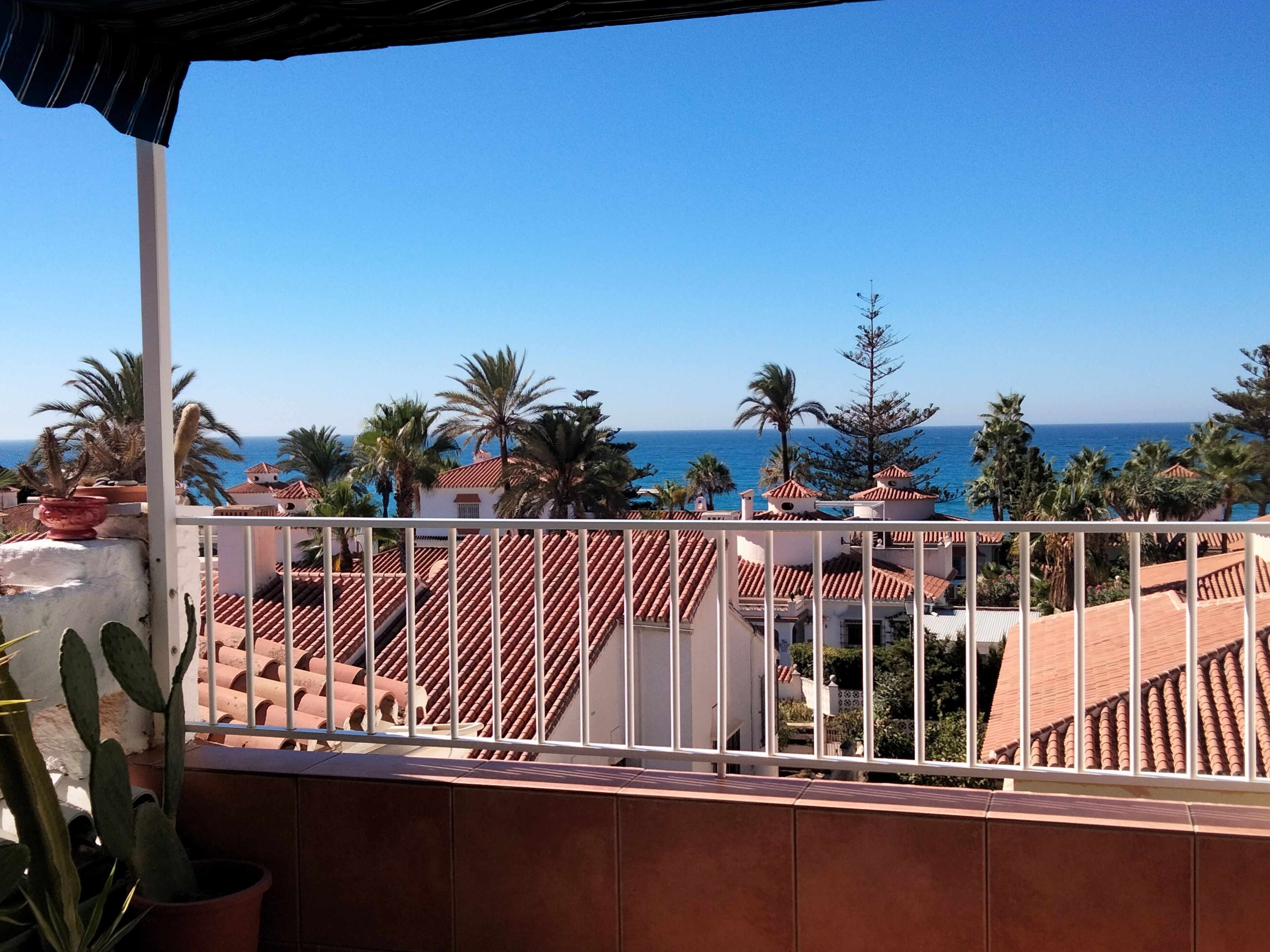 A balcony with a view of the sea, palm trees, and terracotta-roofed buildings.