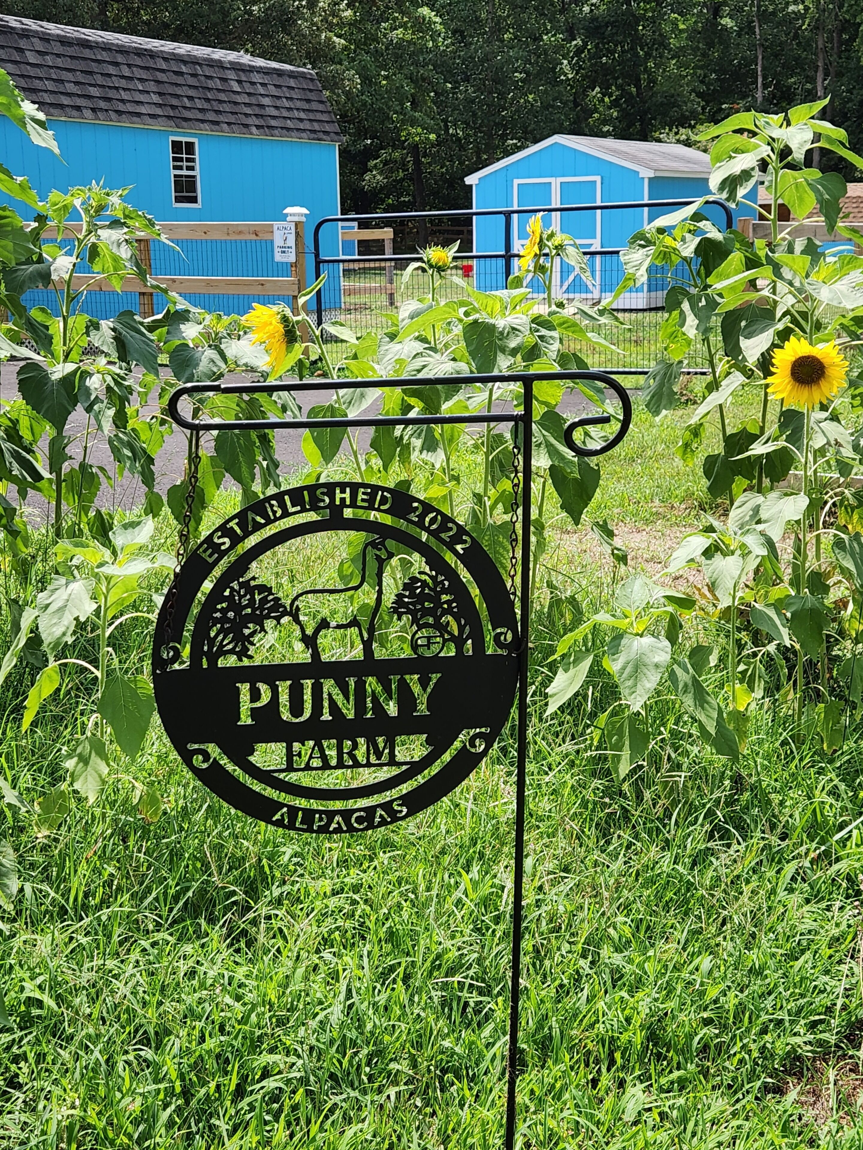 A sign for 'Punny Farm' with a black circular design, surrounded by sunflowers and a blue building in the background.