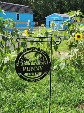 Schild für 'Punny Farm' mit einem schwarzen, kreisförmigen Design, umgeben von Sonnenblumen und einem blauen Gebäude im Hintergrund.
