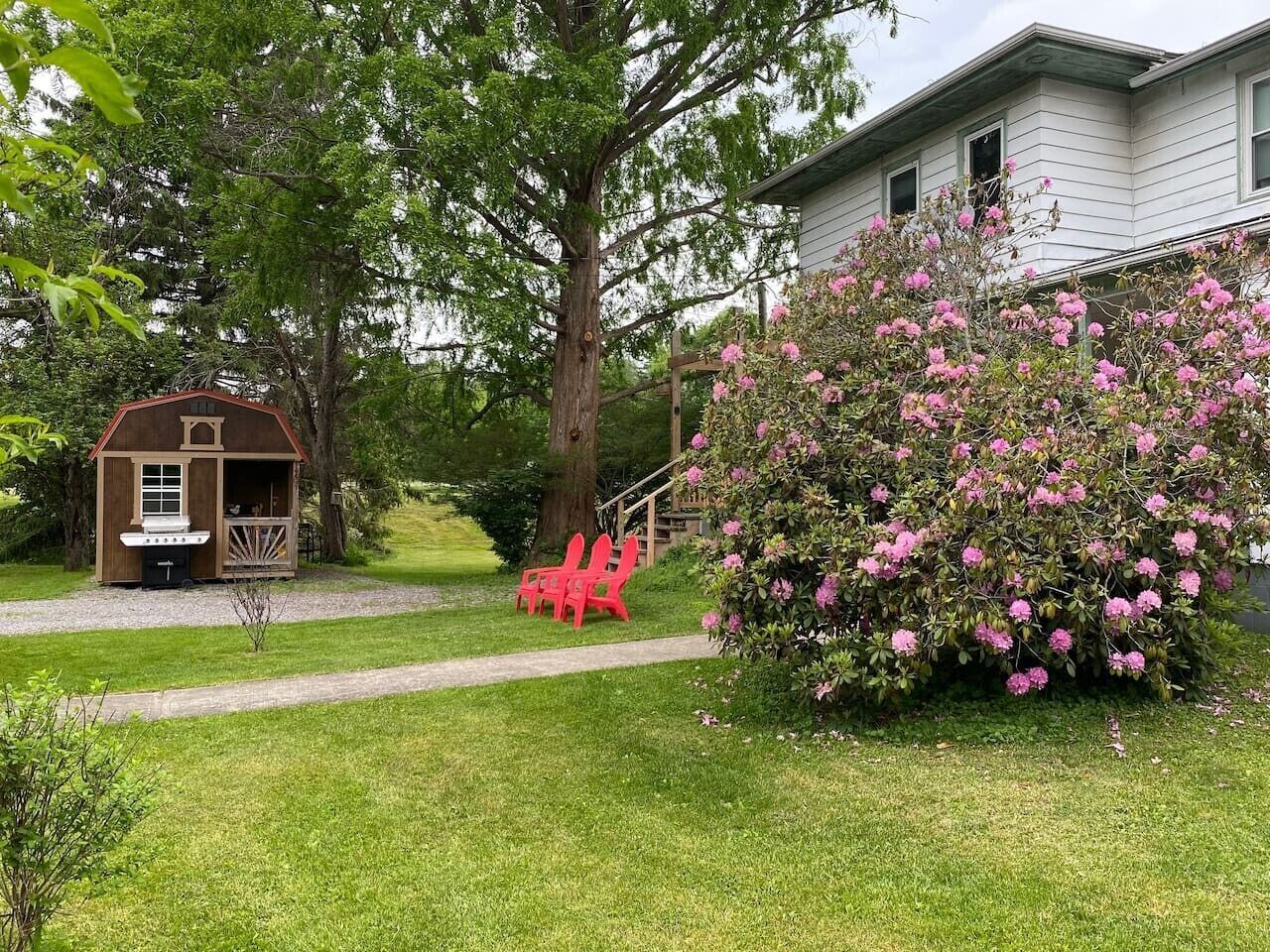A house with a small outdoor seating area, a grill, and a large flowering bush.