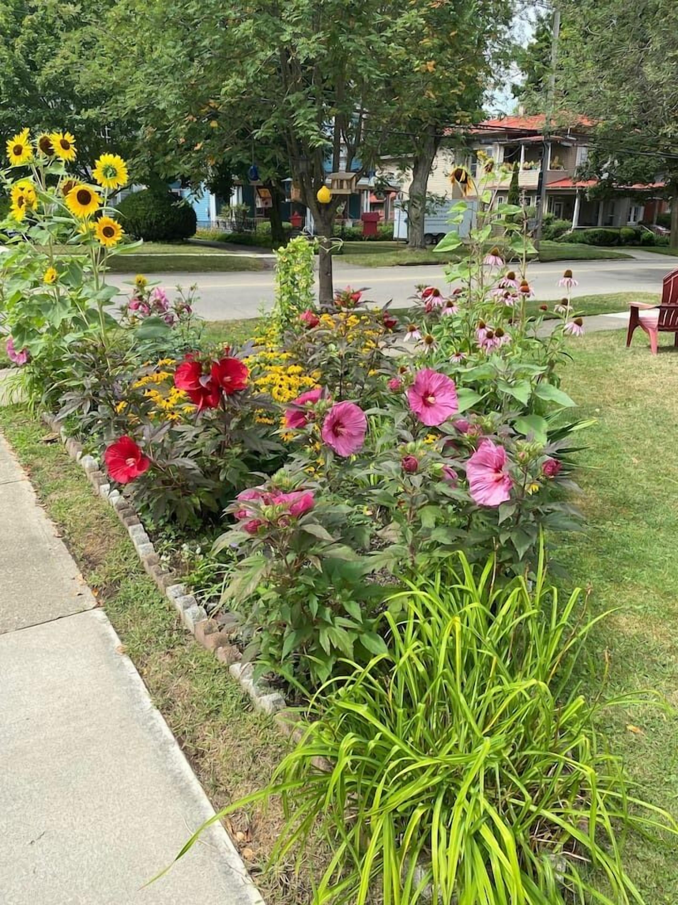 Un jardin avec différentes sortes de fleurs et un trottoir.