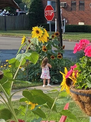 Niño pequeño de pie en un jardín con girasoles y flores, una señal de alto y un edificio de ladrillo al fondo.