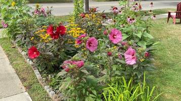 Un jardín con diversas flores y un banco.