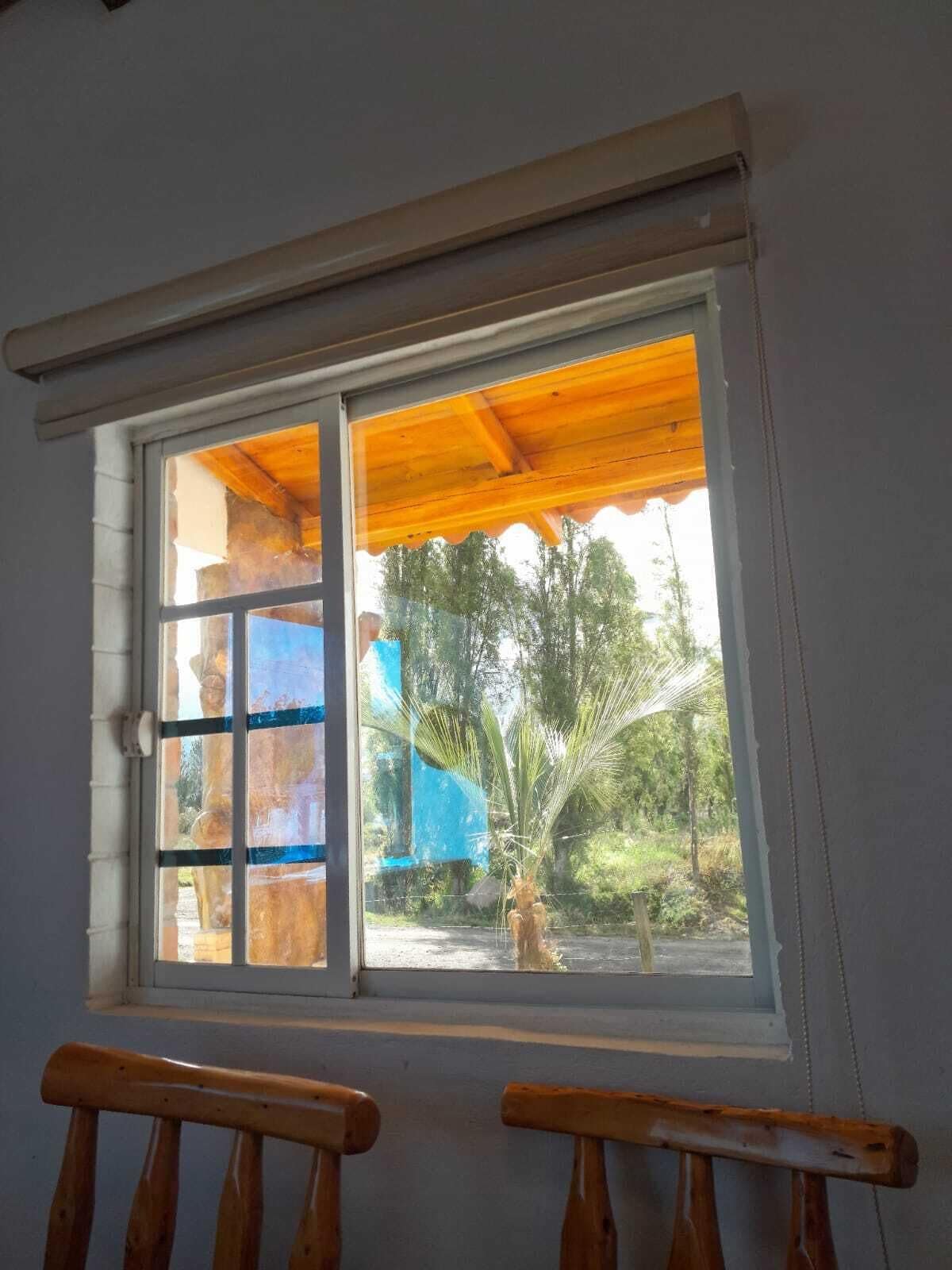A window with a view of a building and trees outside.