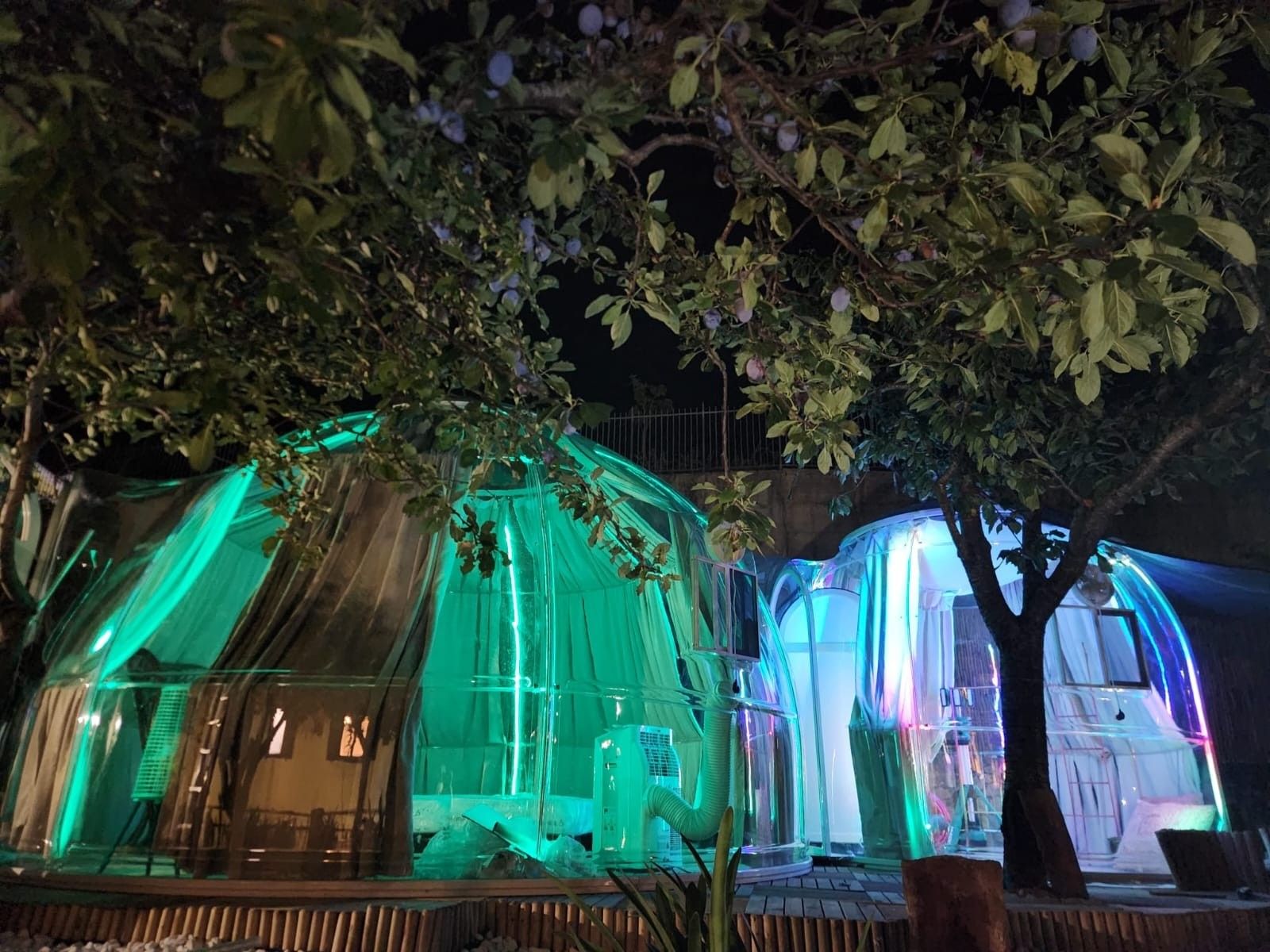 A transparent dome structure with internal lighting, surrounded by trees.