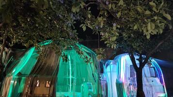A transparent dome structure with internal lighting, surrounded by trees.
