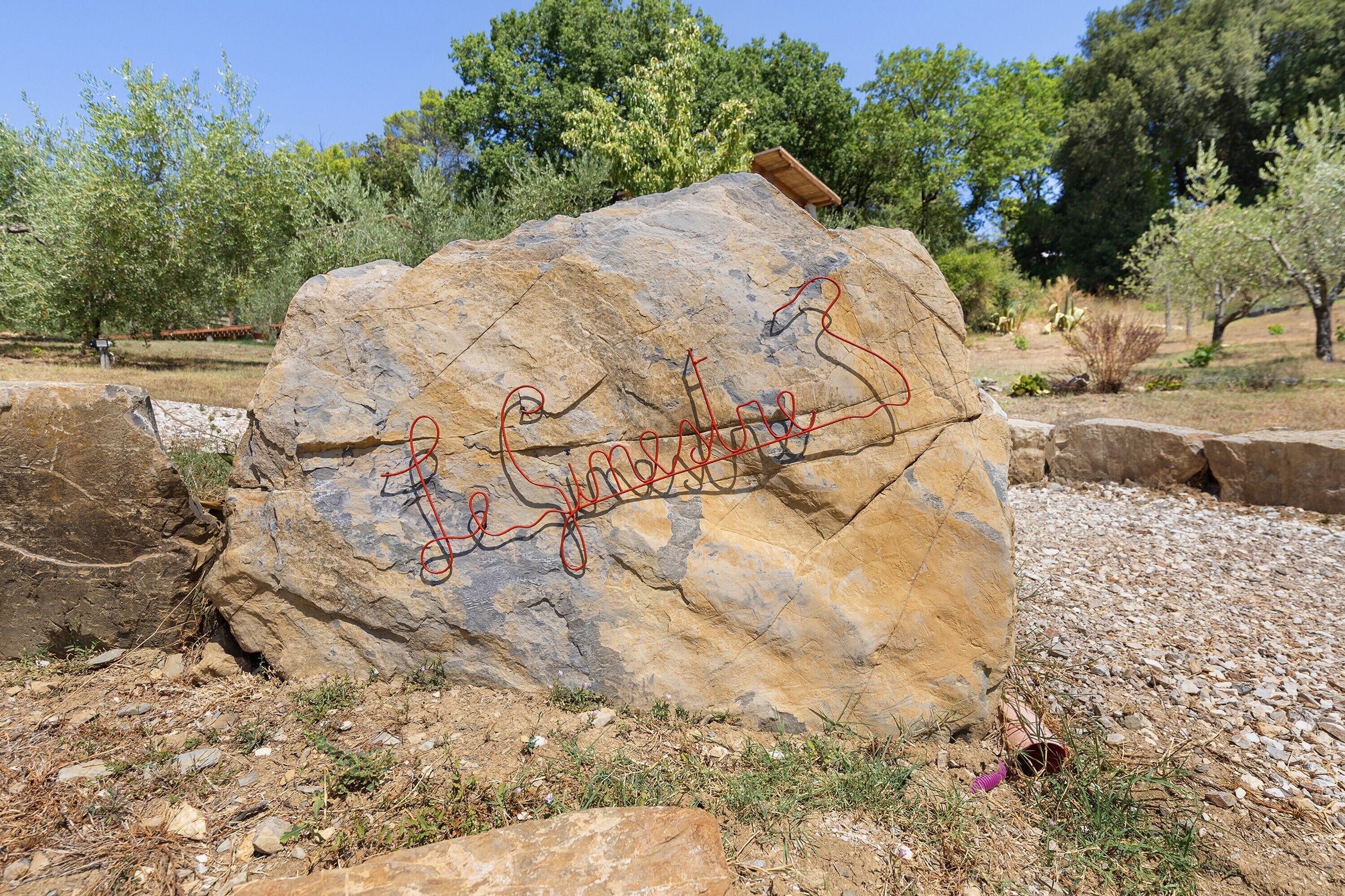Un gros rocher couvert de graffitis, entouré d’herbe sèche et de pierres éparses.