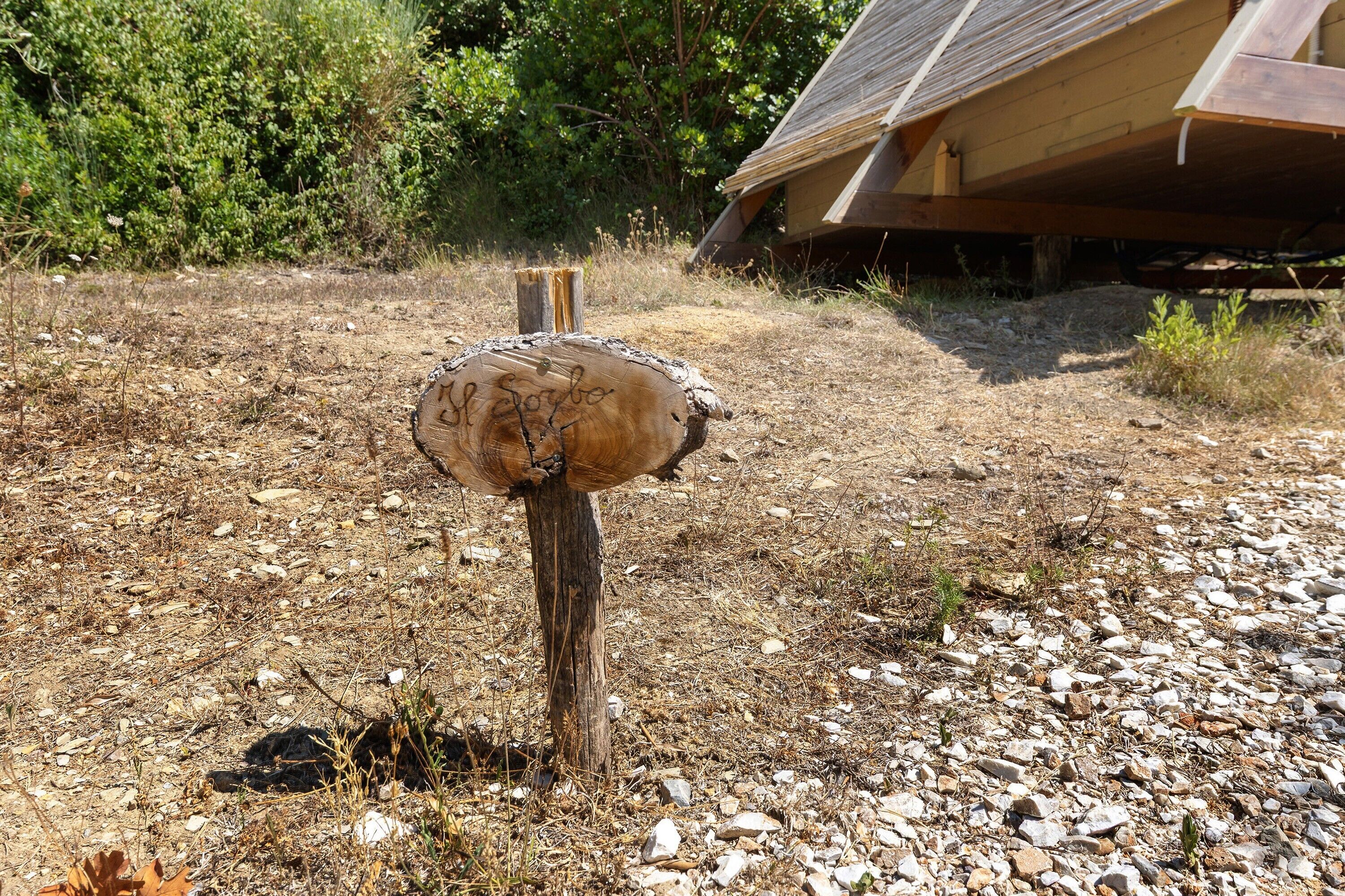 A wooden post with carved text, surrounded by dry grass and rocks.