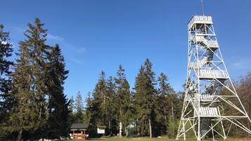 Ein hoher Metallturm mit einer Treppe, umgeben von Bäumen und einer kleinen Holzkonstruktion.