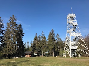 Ein hoher Metallturm mit einer Treppe, umgeben von Bäumen und einer kleinen Holzkonstruktion.