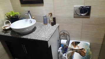 House, 1 Bedroom, Accessible | Bathroom