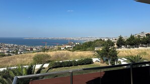 Zona residencial con vista al mar y un horizonte urbano distante.