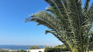 Eine Palme in einer grünen Parkanlage mit Blick auf eine Küstenstadt.