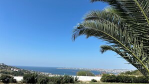 Eine Küstenlandschaft mit blauem Himmel, einer Palme und Blick auf das Meer sowie entfernte Gebäude.