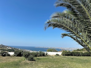 Vista desde la habitación