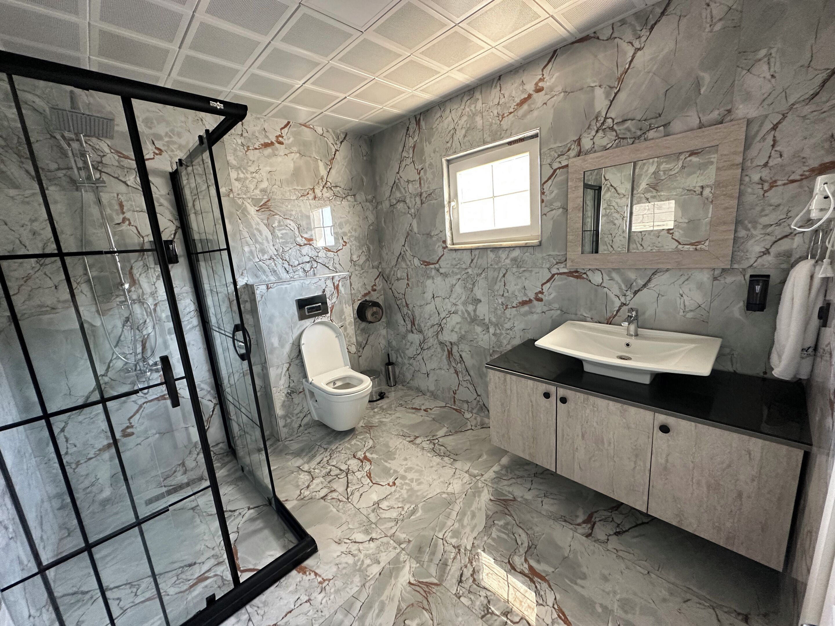 A bathroom with a glass-enclosed shower, a toilet, a sink, and a mirror.