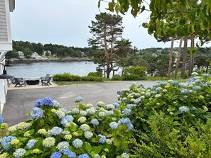 A waterfront property with a patio, outdoor seating, and hydrangea bushes. - Ocean front Home with Private dock - Winter rental Available (Harpswell)