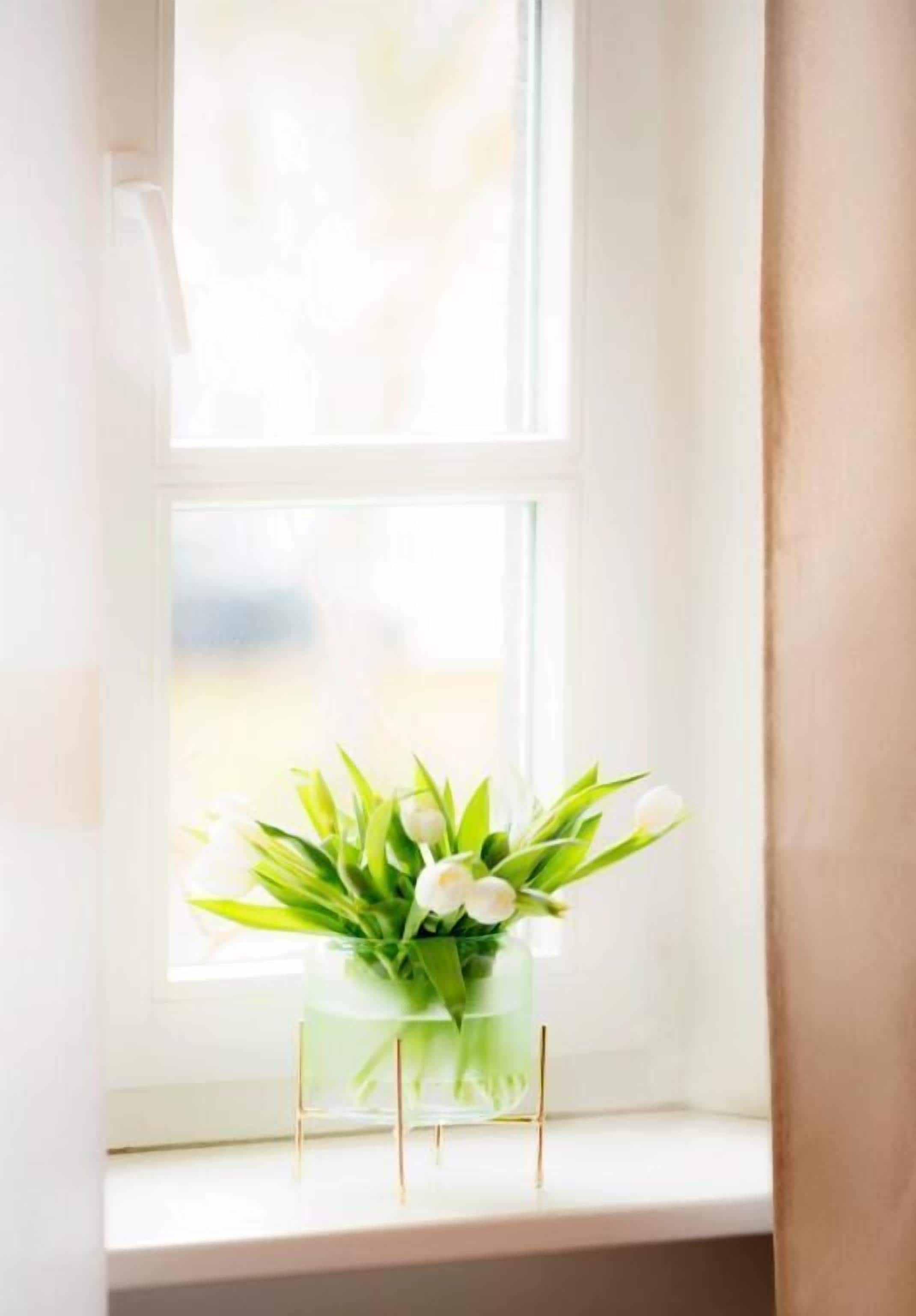 A window with a clear view of a room.