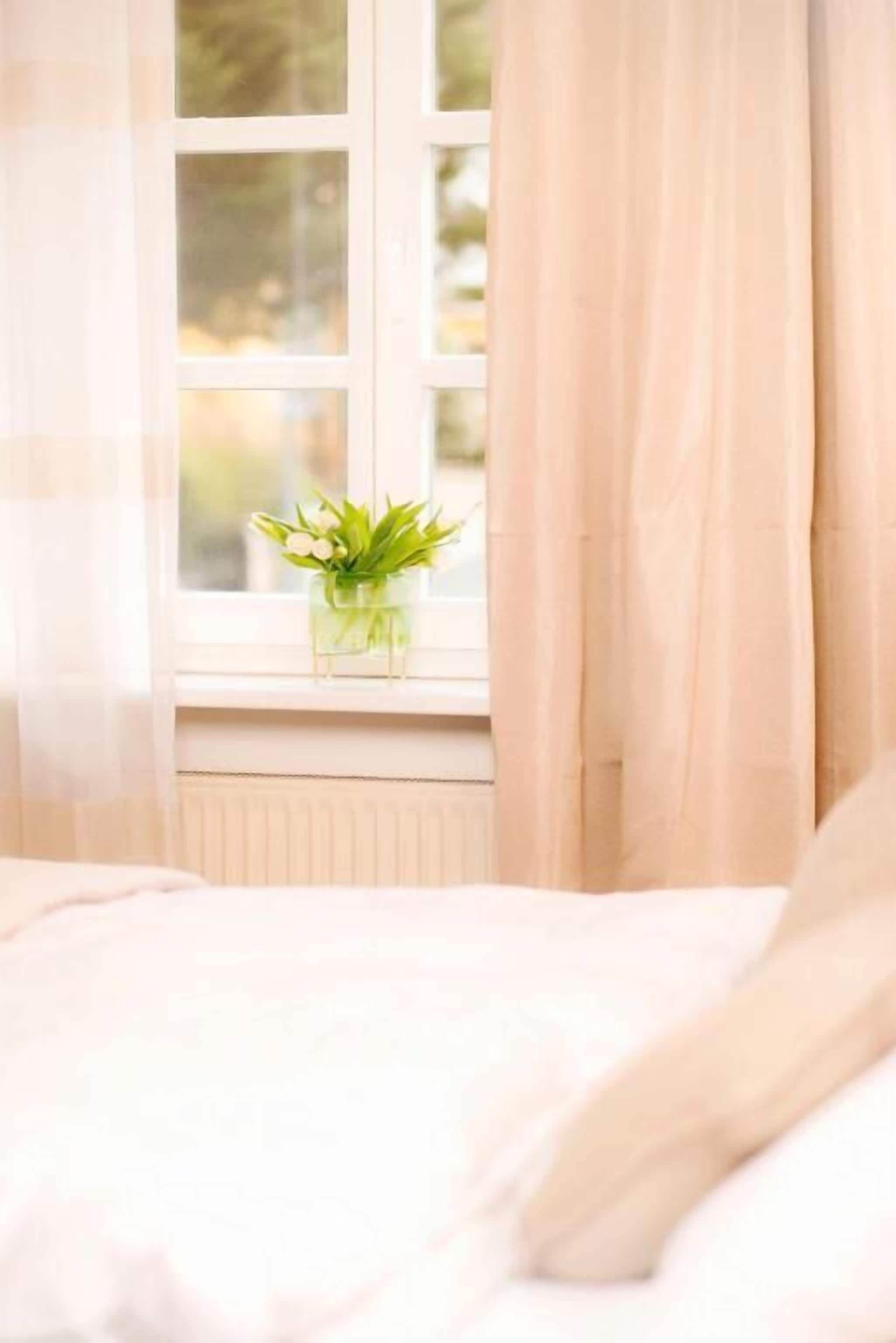 Un dormitorio con ventana, planta en la mesita de noche y cama.
