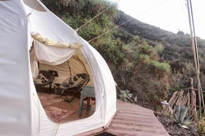 A tent with a sleeping area inside, a chair, and a small table.