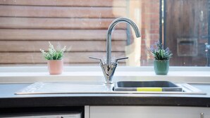 A kitchen sink with a modern faucet, two potted plants, and a window with blinds. - New 2BR in 53 Rowlington Terrace (Ashington)