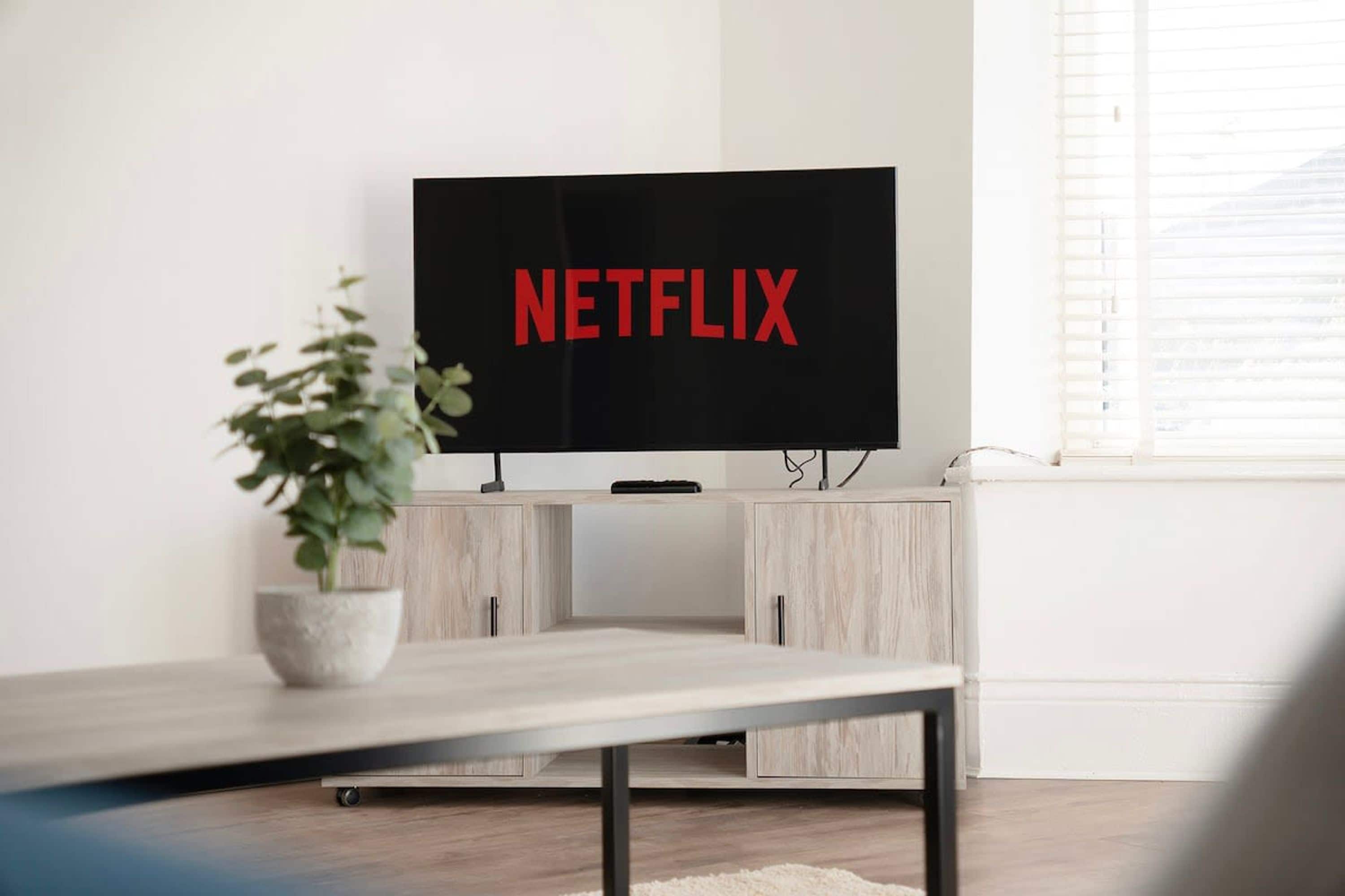 A flat-screen TV with the Netflix logo on a stand in a room with light-colored walls and a window.