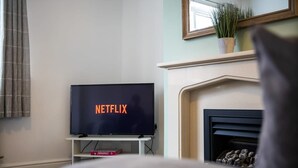 Una sala de estar con una televisión mostrando 'NETFLIX' en la pantalla, una chimenea y una planta sobre la repisa.