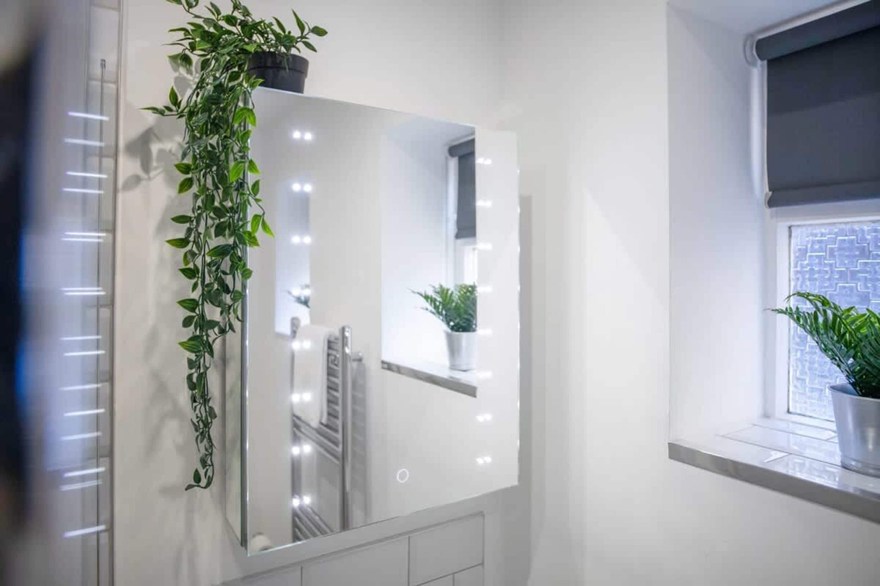 House | 1 bedroom