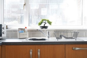 Eine Küche mit Spüle, einer Bonsai-Pflanze im Topf, einem Verteilerkasten und einem Metallregal.