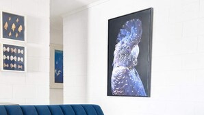 A modern living room with a blue sofa, a black coffee table with a white game, and artwork on the wall. - Convenient Townsville Stay Near Hospital and CBD (Pimlico)