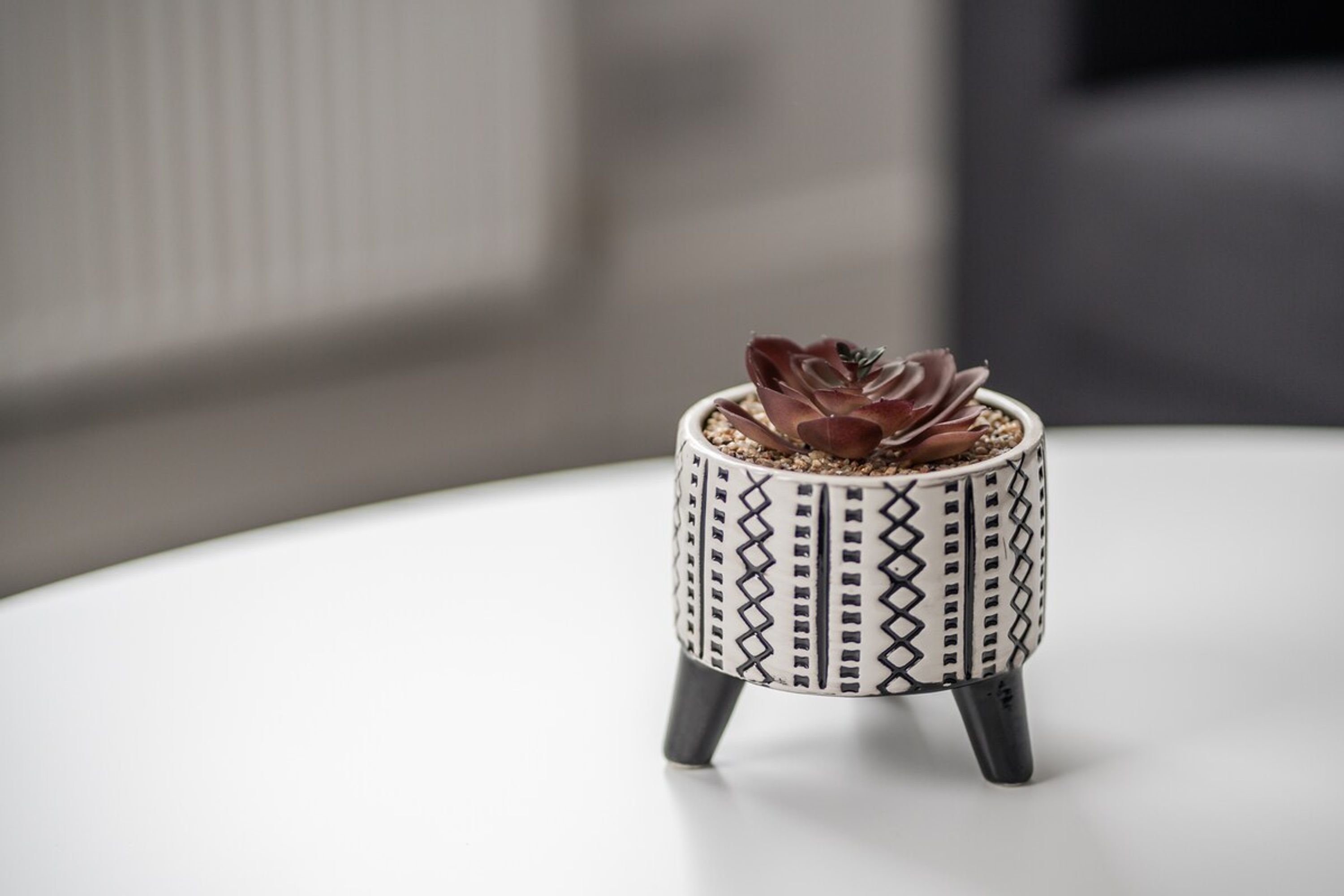 A small potted succulent with a geometric pattern on its pot, placed on a white surface.