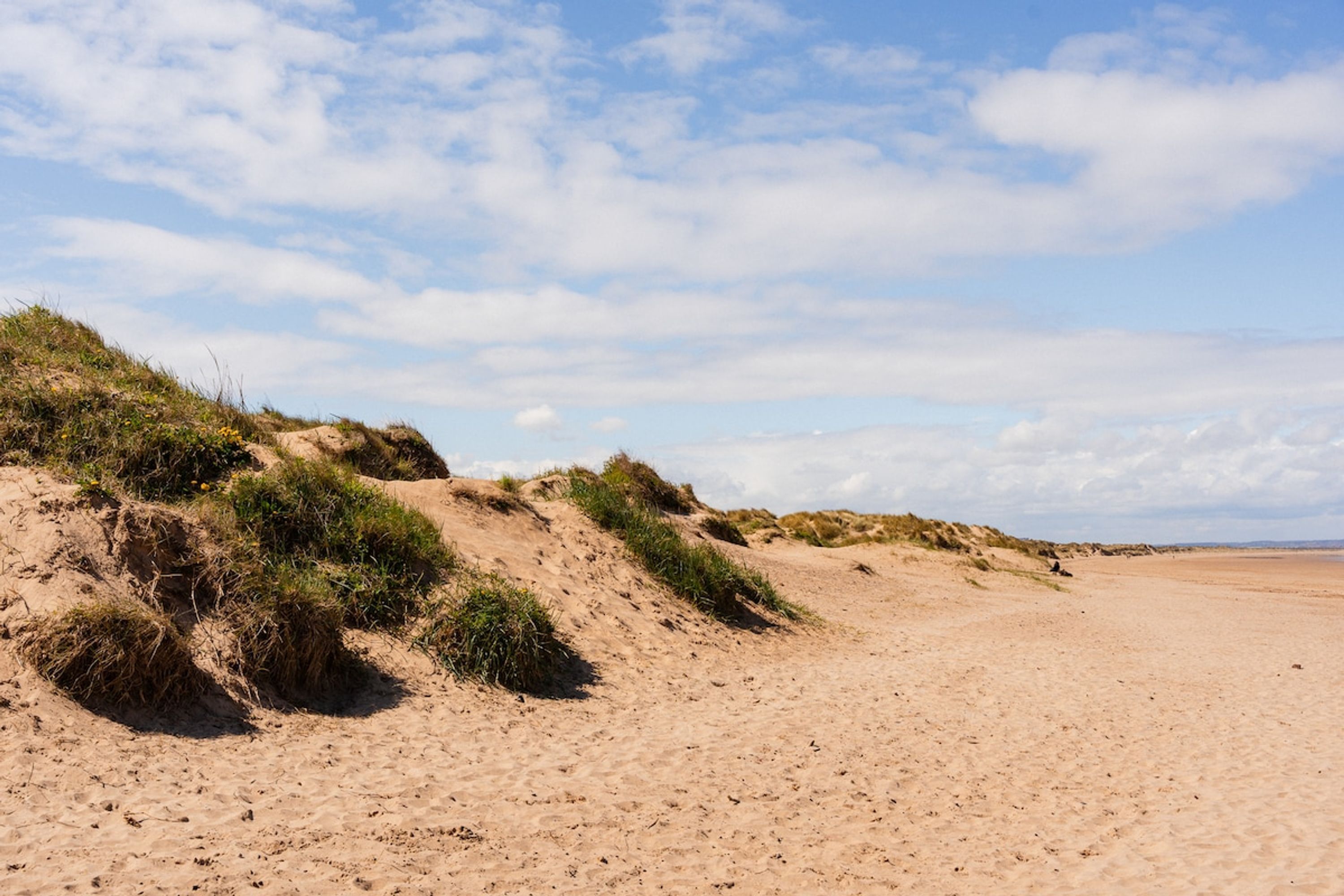 A sandy beach with dunes and sparse vegetation.