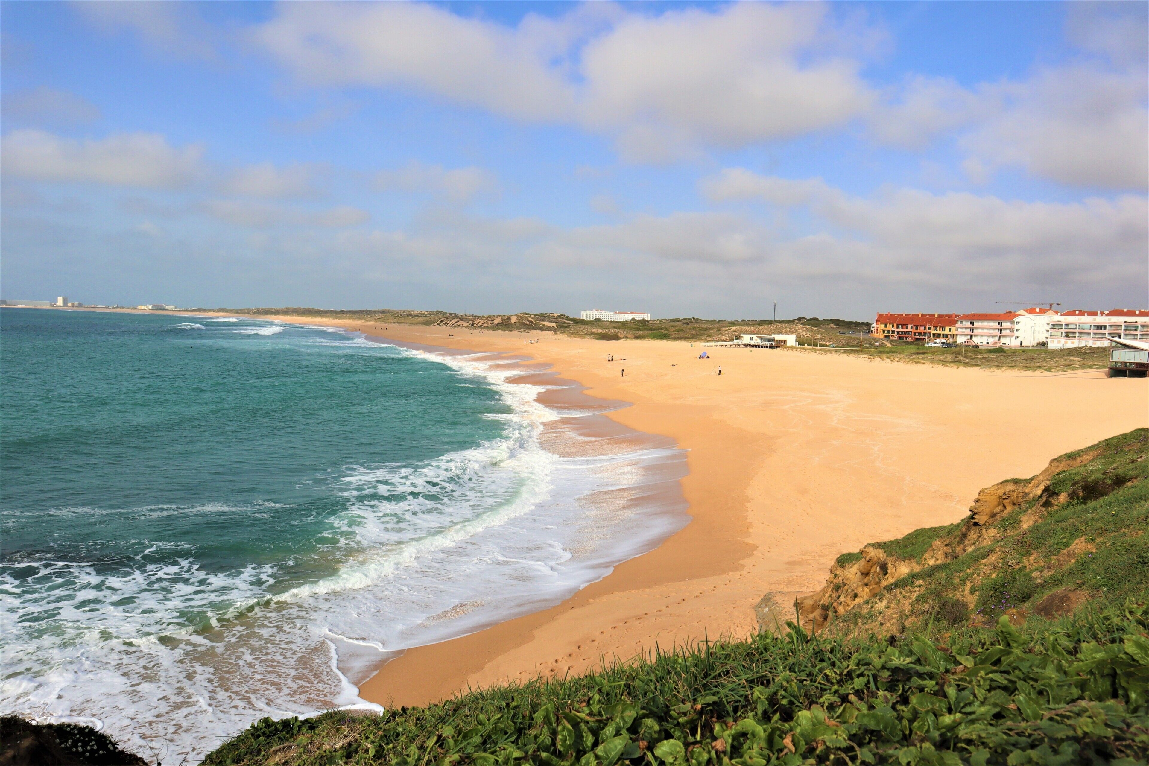 A coastal beach with a sandy shore, a clear sky, and buildings in the background.