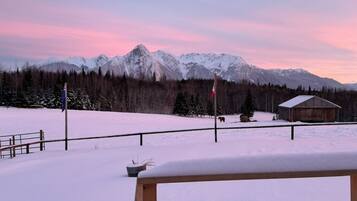 Un paysage enneigé avec une cabane en bois et un mât sur lequel flotte un drapeau au premier plan, et des montagnes recouvertes de neige en arrière-plan.
