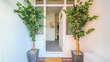 A doorway with two potted plants on either side, leading to an interior space.